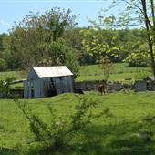 Catoctin Mountain Loop