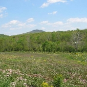 Monacacy River NRMA - Doctor Belt Road