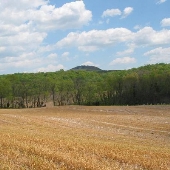 Monacacy River NRMA - Park Mills Road