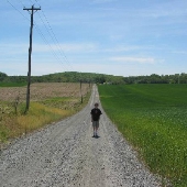 Swartz Farm - wheat field