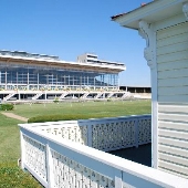 Pimlico Race Course