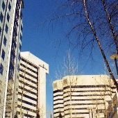 Bethesda, Business District - Wisconsin Avenue & Woodmont Triangle