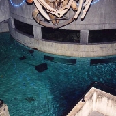 National Aquarium in Baltimore Interior