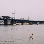 Railroad Bridge