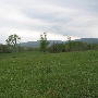 Reed Farm Reverse