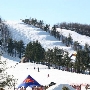 Wisp at Deep Creek Mountain Resort