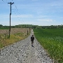 Swartz Farm - wheat field