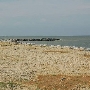 Point Lookout