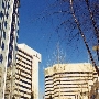 Bethesda, Business District - Wisconsin Avenue & Woodmont Triangle