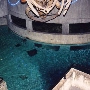 National Aquarium in Baltimore Interior
