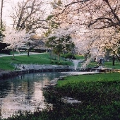 Homeland - Springlake Way