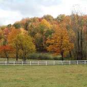 Garrett County Fall Beauty shots 09