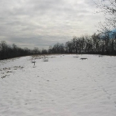 Patapsco Valley State Park, Mckeldin Area - Sorrenson Tract