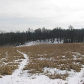 Patapsco Valley State Park, Mckeldin Area - Driver Road Area