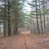 PrettyBoy Reservoir - Natural Forest Regeneration Area