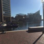 Inner Harbor