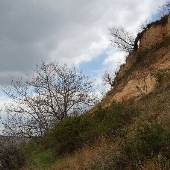 Elk Neck State Park Cliff