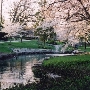 Homeland - Springlake Way