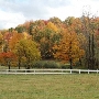 Garrett County Fall Beauty shots 09