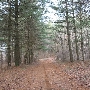 PrettyBoy Reservoir - Natural Forest Regeneration Area