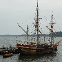 The Maryland Dove