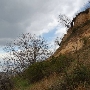 Elk Neck State Park Cliff