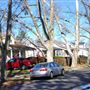 Arabia Ave