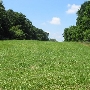 Fairhill Natural Resouces Management Area, Christina Creek Area