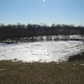 Herring Run
