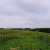Fairhill Natural Resouces Management Area