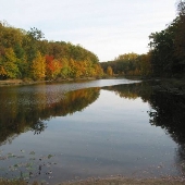 Cedarville State Forest