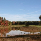 Compass Pointe Golf Courses