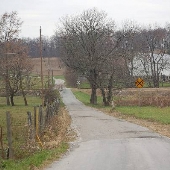 Schalk Road 2 @ Alesia