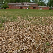 Calvert Elementary School