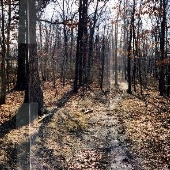 Patapsco Valley State Park, Pickall Area