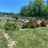 Frederick County Farm