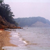 Calvert Cliffs State Park