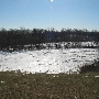 Herring Run