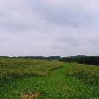 Fairhill Natural Resouces Management Area