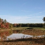 Compass Pointe Golf Courses
