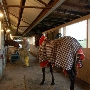 Frederick Fairgrounds