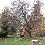 Nattie Jones Garden