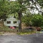Albany Avenue