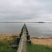 Gunpowder Falls State Park, Hammerman Area