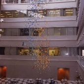Johns Hopkins Allergy Center