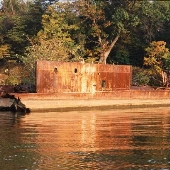 Mallows Bay Ship Graveyard