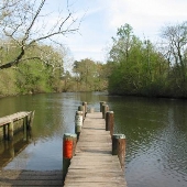 Tuckahoe River Park