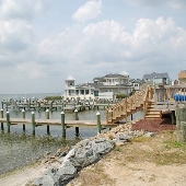 Sandpiper on the Bay