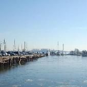 The Marina at Henderson's Wharf