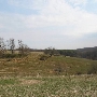Mingodale Farm